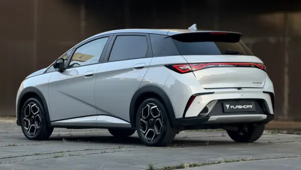 BYD Dolphin Design 28