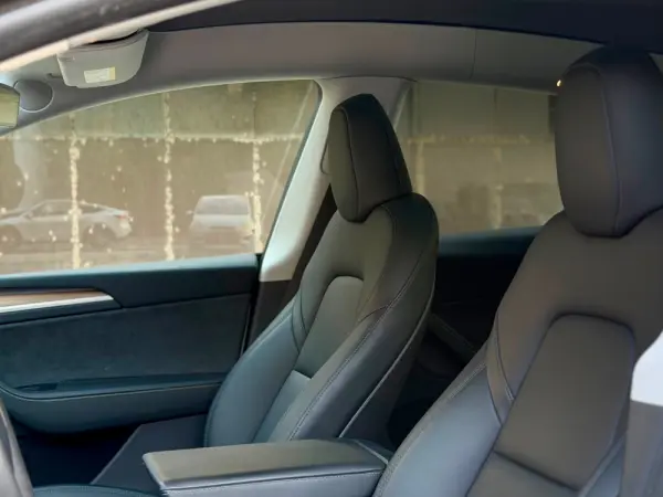 Tesla Model Y Long Range Dual Motor AWD 21