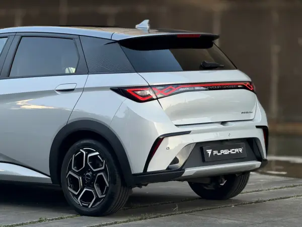 BYD Dolphin Design 14