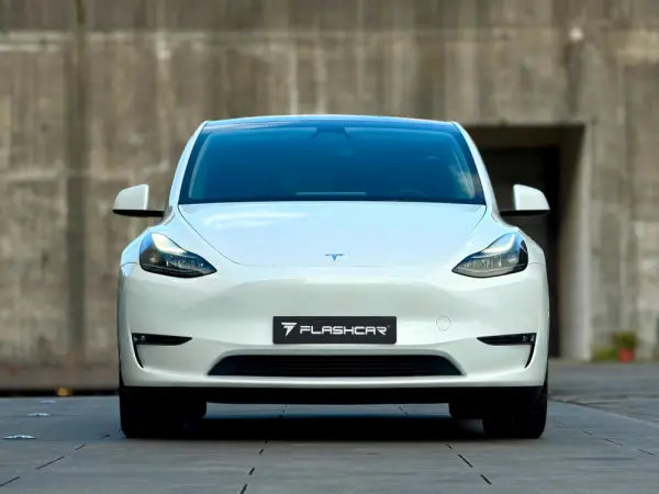 Tesla Model Y Long Range Dual Motor AWD 16