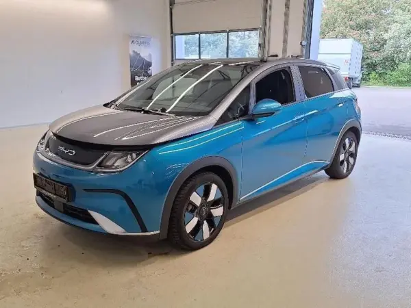 BYD Dolphin Design 8