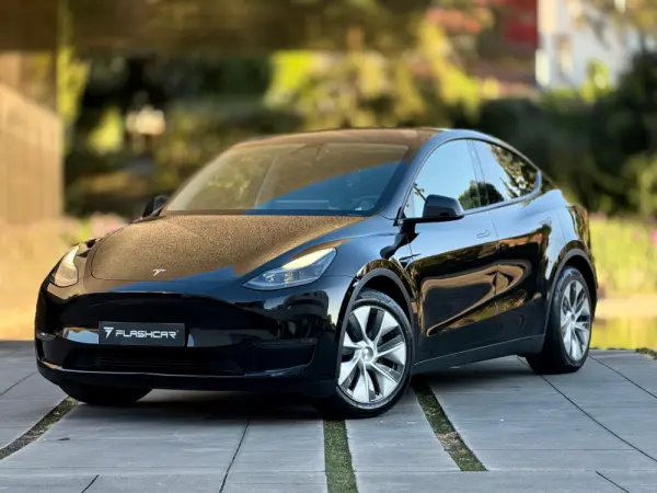 Tesla Model Y Long Range Dual Motor AWD 18