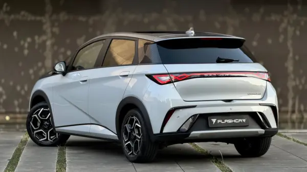 BYD Dolphin Design 2