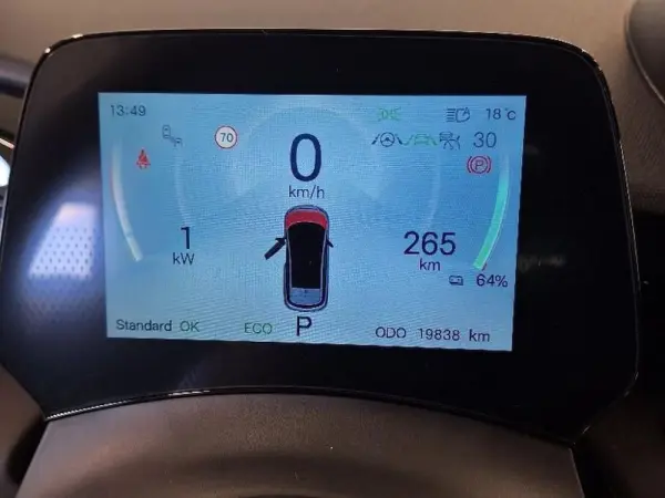 BYD Dolphin Design 13
