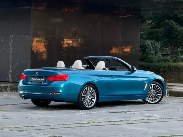 BMW 420 d Line Luxury 18