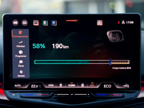 Cupra Tavascan ENDURANCE 14