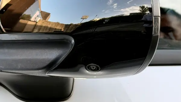 BYD Dolphin Design 27