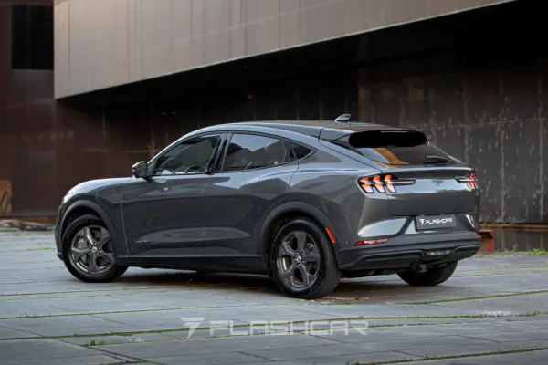 Ford Mustang Mach-E Standard 9