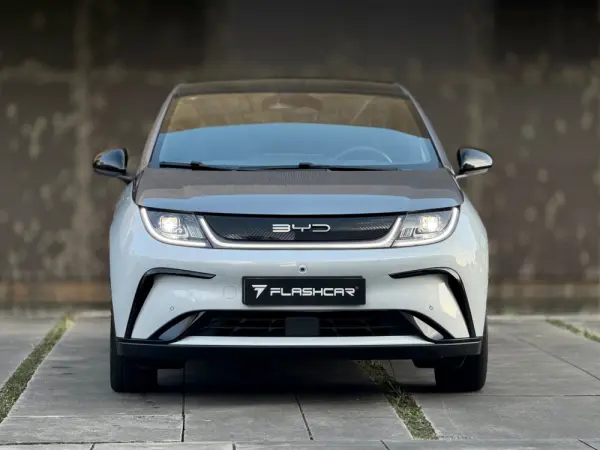 BYD Dolphin Design 28