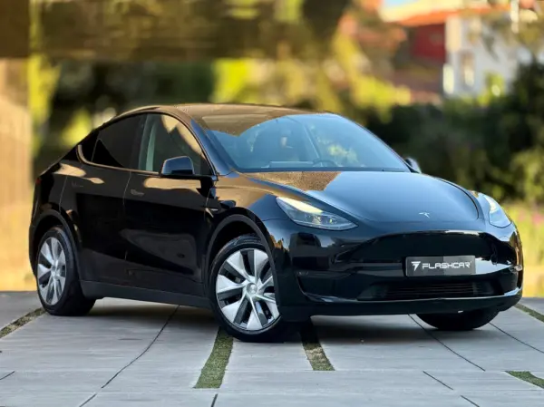 Tesla Model Y Long Range Dual Motor AWD 1