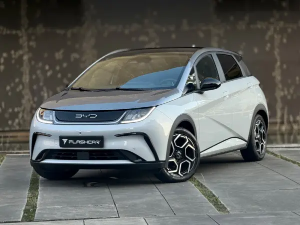 BYD Dolphin Design 23