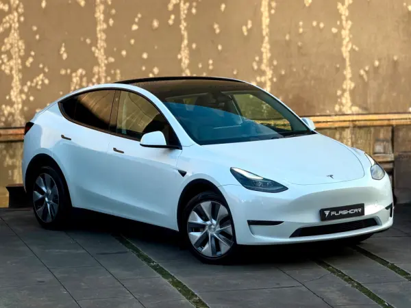 Tesla Model Y Long Range Dual Motor AWD 1