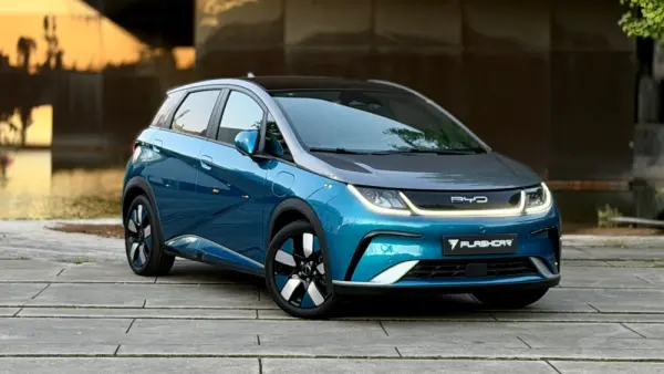 BYD Dolphin Design 19