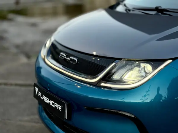 BYD Dolphin Design 18