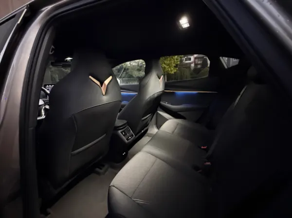 Cupra Tavascan ENDURANCE 18