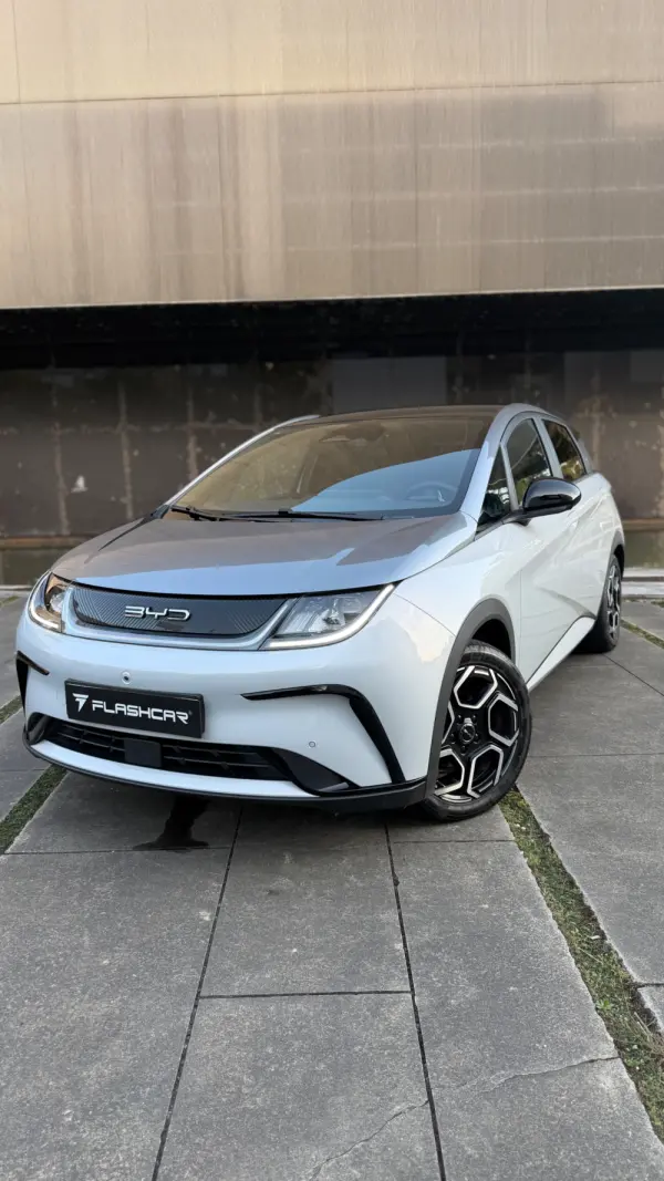 BYD Dolphin Design 29