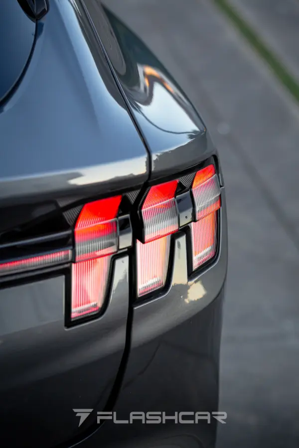 Ford Mustang Mach-E Standard 14