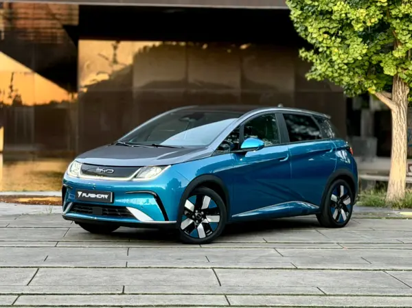 BYD Dolphin Design 17