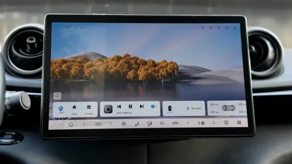 BYD Dolphin Design 19