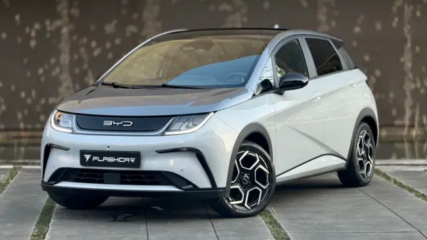 BYD Dolphin Design 8