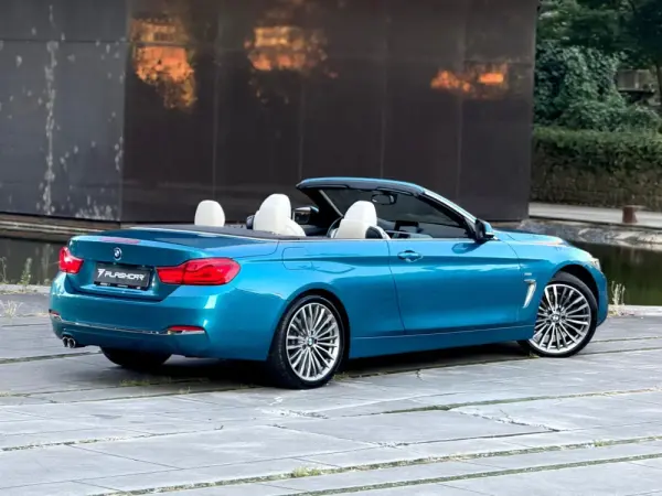 BMW 420 d Line Luxury 19