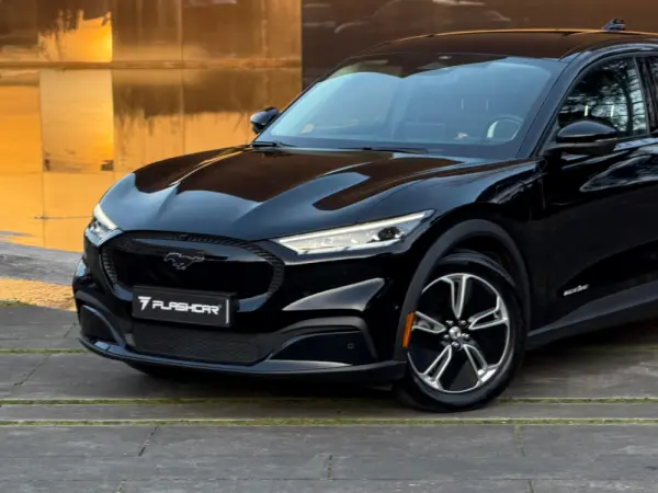 Ford Mustang Mach-E 75.7 kWh Base 21