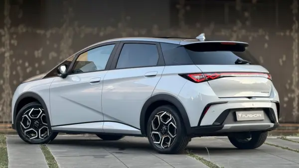 BYD Dolphin Design 5