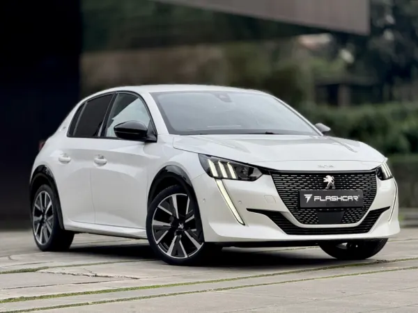 Peugeot 208 1.5 BlueHDi GT Pack 38