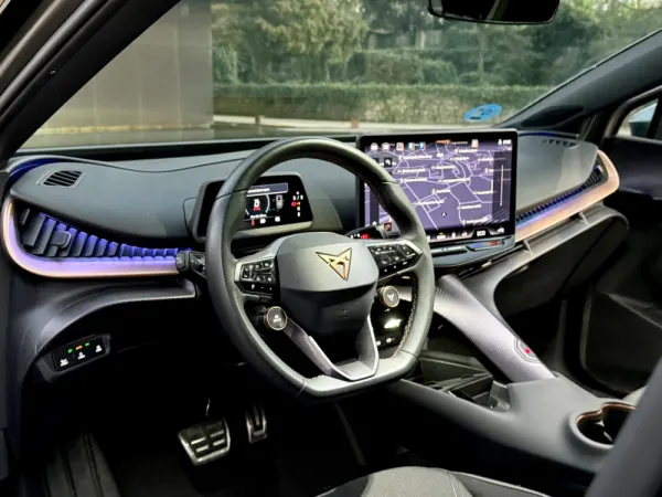 Cupra Tavascan ENDURANCE 16