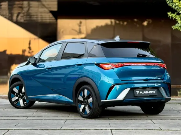 BYD Dolphin Design 11
