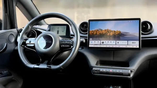 BYD Dolphin Design 18
