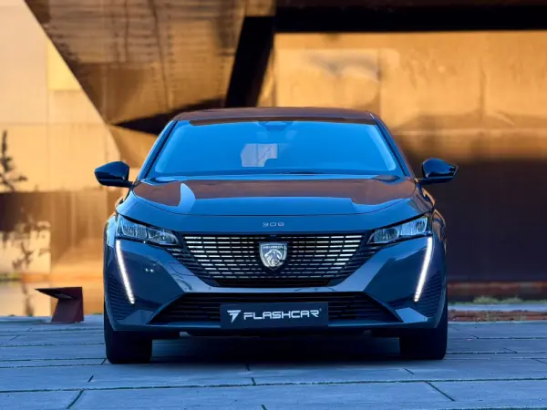Peugeot 308 Allure Pack 39