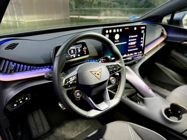 Cupra Tavascan ENDURANCE 22