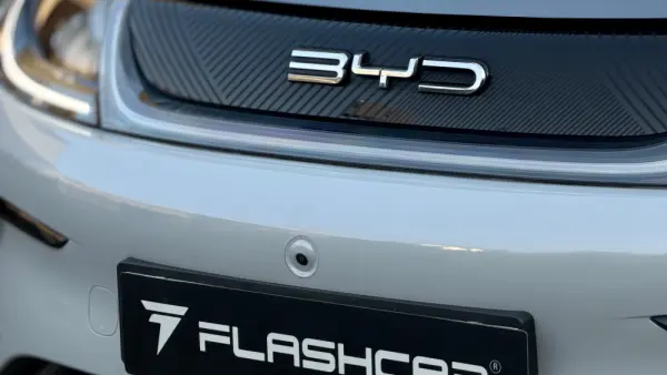 BYD Dolphin Design 7