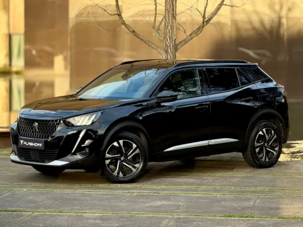 Peugeot 2008 1.2 PureTech GT EAT8 19