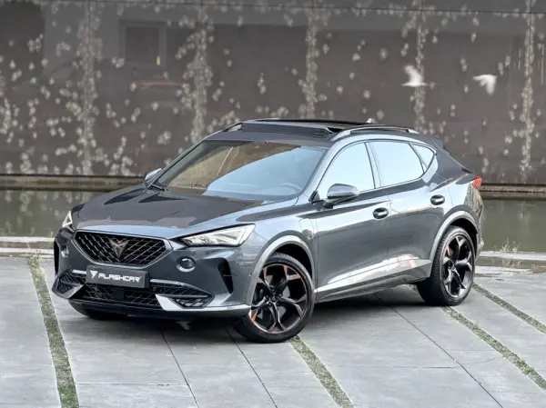 Cupra Formentor 1.4 e-Hybrid DSG VZ 38
