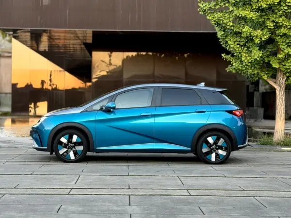 BYD Dolphin Design 16