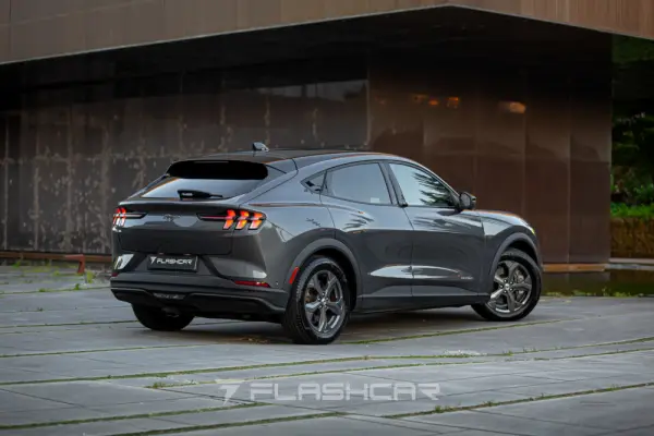 Ford Mustang Mach-E Standard 2