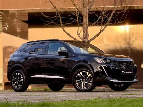 Peugeot 2008 1.2 PureTech GT EAT8 15