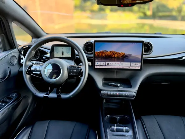 BYD Dolphin Comfort 9