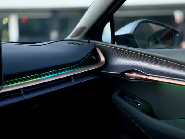 Cupra Tavascan ENDURANCE 12