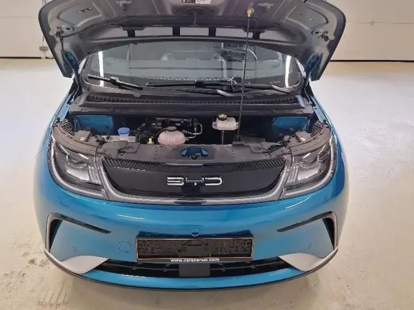 BYD Dolphin Design 5