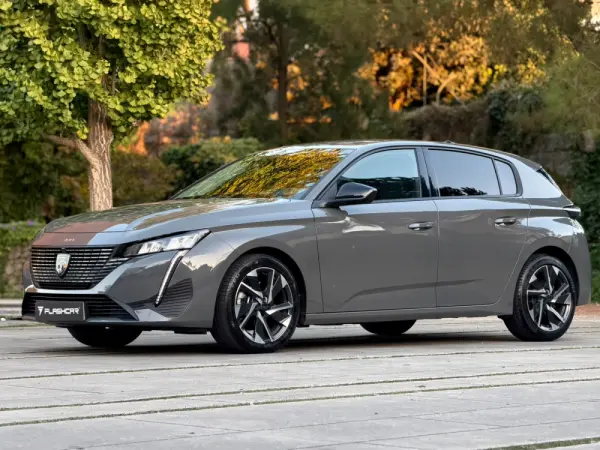 Peugeot 308 Allure Pack 6