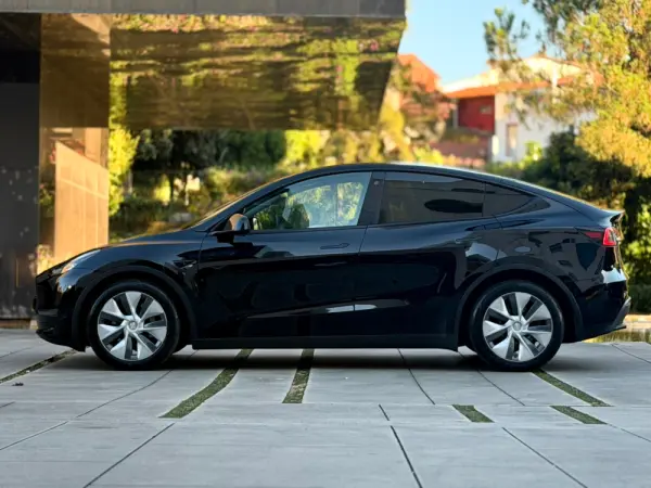 Tesla Model Y Long Range Dual Motor AWD 7