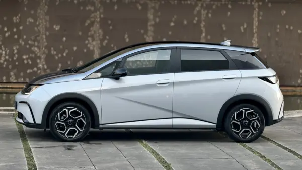 BYD Dolphin Design 6