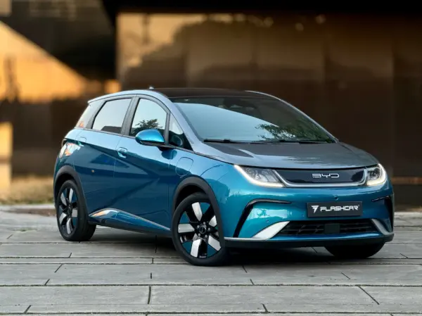 BYD Dolphin Design 6