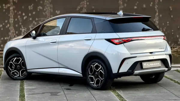 BYD Dolphin Design 33