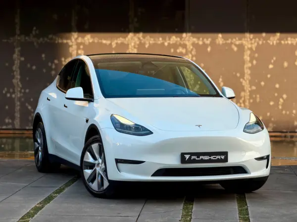 Tesla Model Y Long Range Dual Motor AWD 18