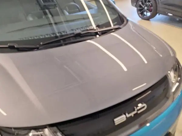 BYD Dolphin Design 11