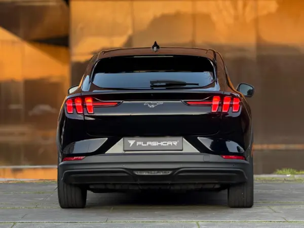 Ford Mustang Mach-E 75.7 kWh Base 13